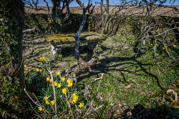 230420 Houstry 152