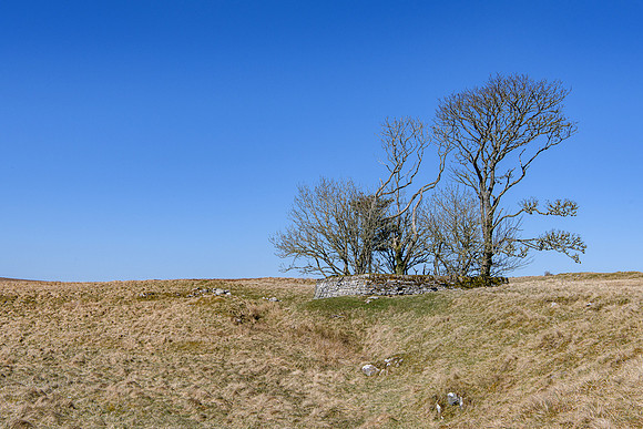 230420 Houstry 148