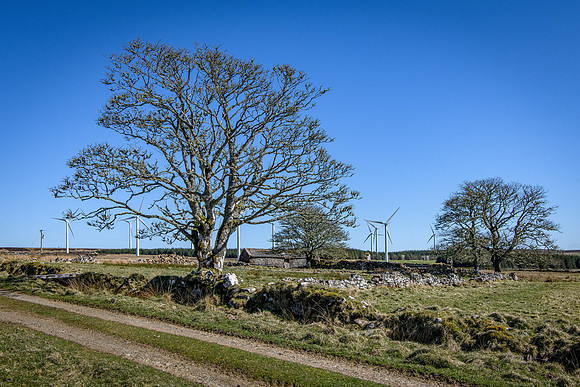 230420 Houstry 166