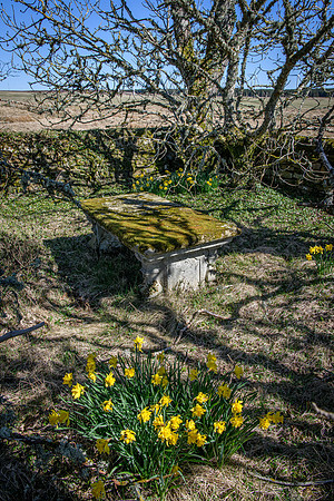 230420 Houstry 156