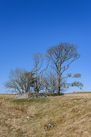230420 Houstry 147