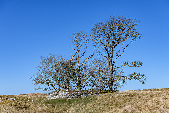230420 Houstry 158