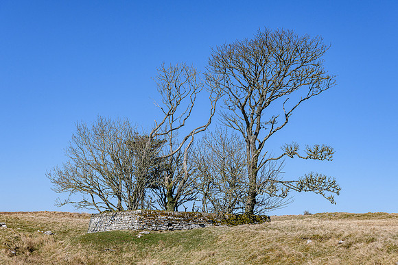 230420 Houstry 149