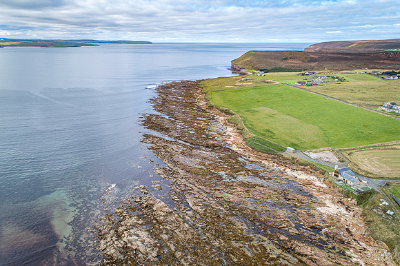 211006 Dunnet 090