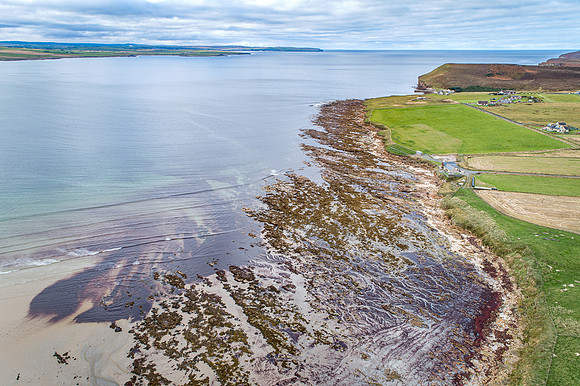 211006 Dunnet 095