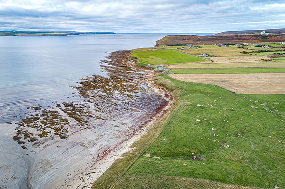 211006 Dunnet 094