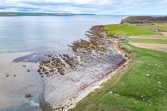 211006 Dunnet 093