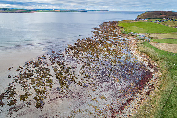 211006 Dunnet 098