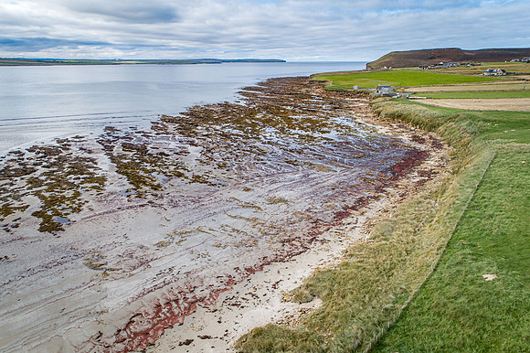 211006 Dunnet 100