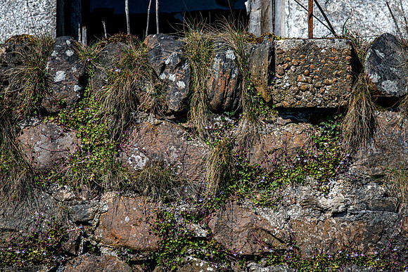 230419 Gartymore 054