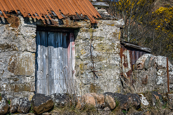 230419 Gartymore 062