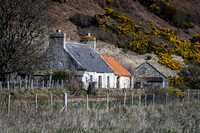 230419 Gartymore 020