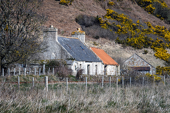 230419 Gartymore 037