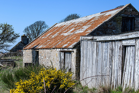 230419 Gartymore 131