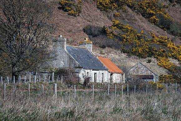 230419 Gartymore 036