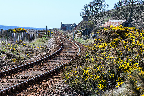 230419 Gartymore 074