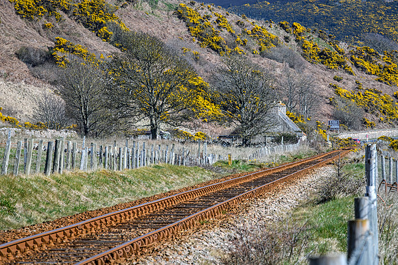 230419 Gartymore 026