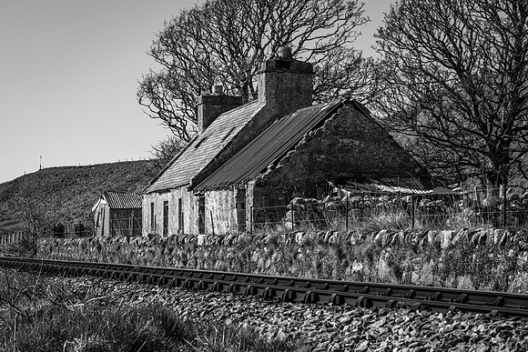 230419 Gartymore 064