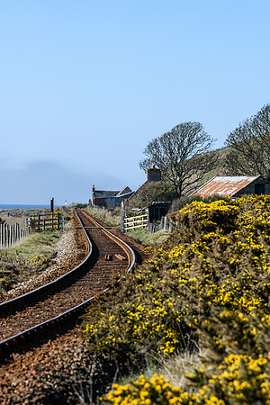 230419 Gartymore 143