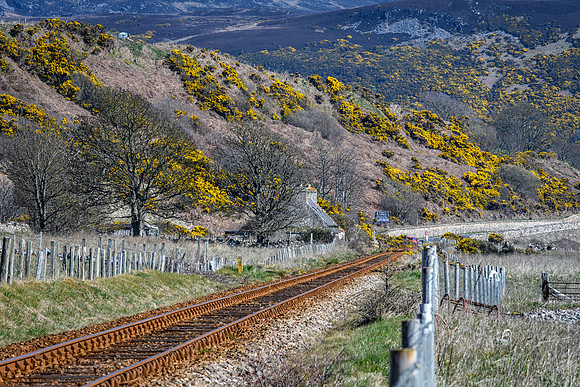 230419 Gartymore 024