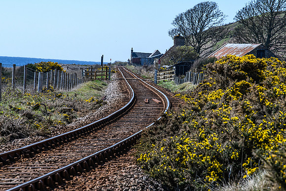 230419 Gartymore 073