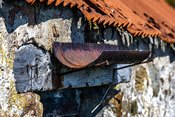 230419 Gartymore 070