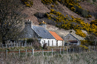230419 Gartymore 018