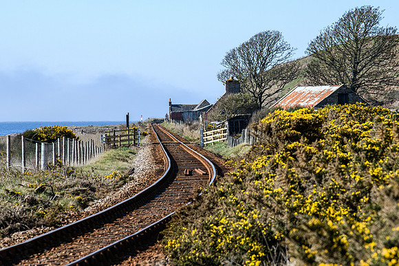 230419 Gartymore 141