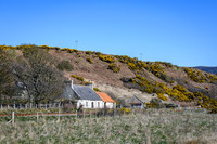 230419 Gartymore 017