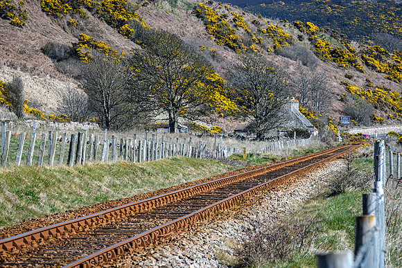 230419 Gartymore 025