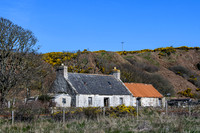 230419 Gartymore 010