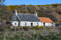 230419 Gartymore 009