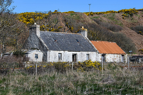 230419 Gartymore 009