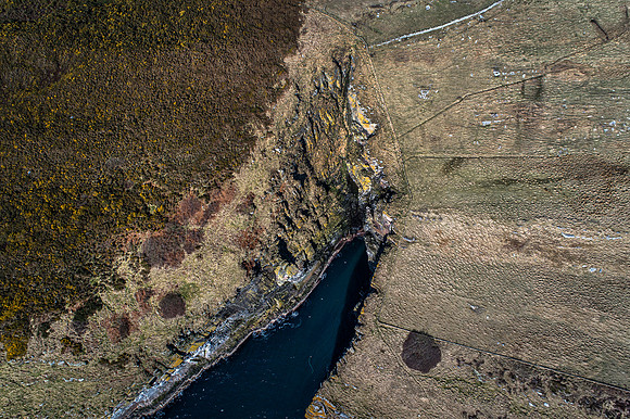 210401 Bruan 020
