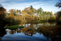 Big Burn Walk Golspie