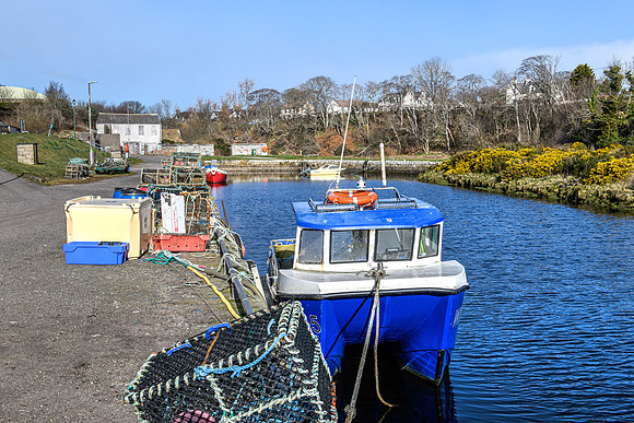 220330 Brora Harbour 009