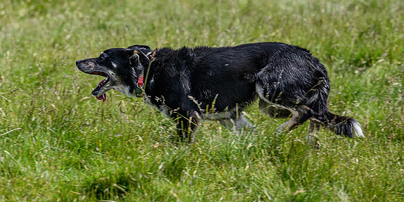 210626 Badanloch Trial 163