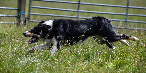 210626 Badanloch Trial 114