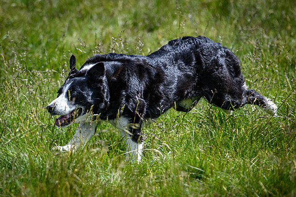 210626 Badanloch Trial 176