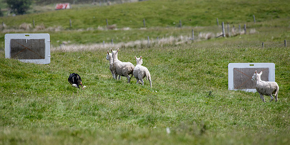 210626 Badanloch Trial 125