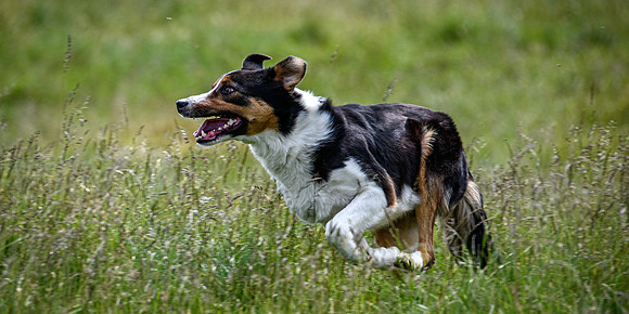210626 Badanloch Trial 078