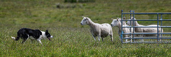 210626 Badanloch Trial 145