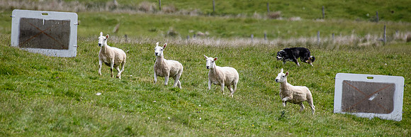 210626 Badanloch Trial 049