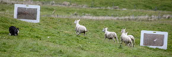 210626 Badanloch Trial 058