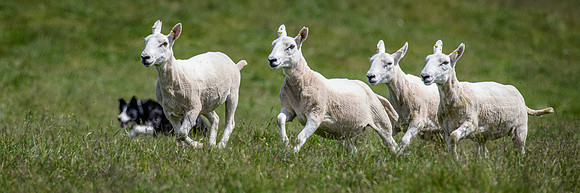 210626 Badanloch Trial 172