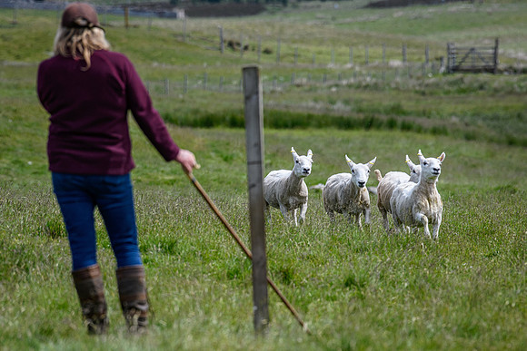 210626 Badanloch Trial 123