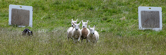 210626 Badanloch Trial 026