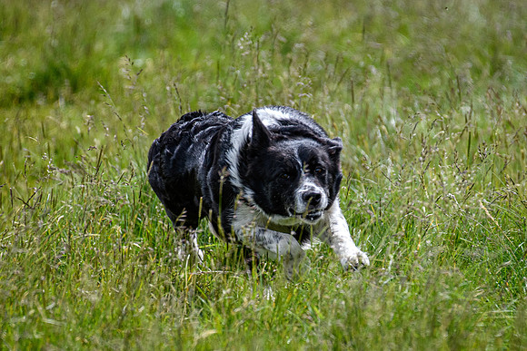 210626 Badanloch Trial 023