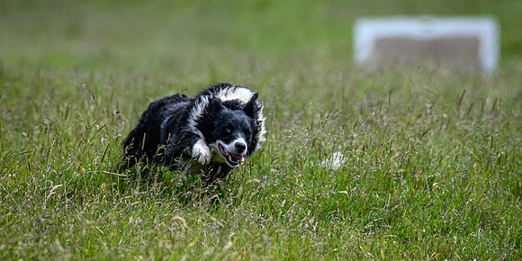 210626 Badanloch Trial 063