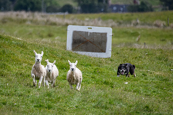 210626 Badanloch Trial 050